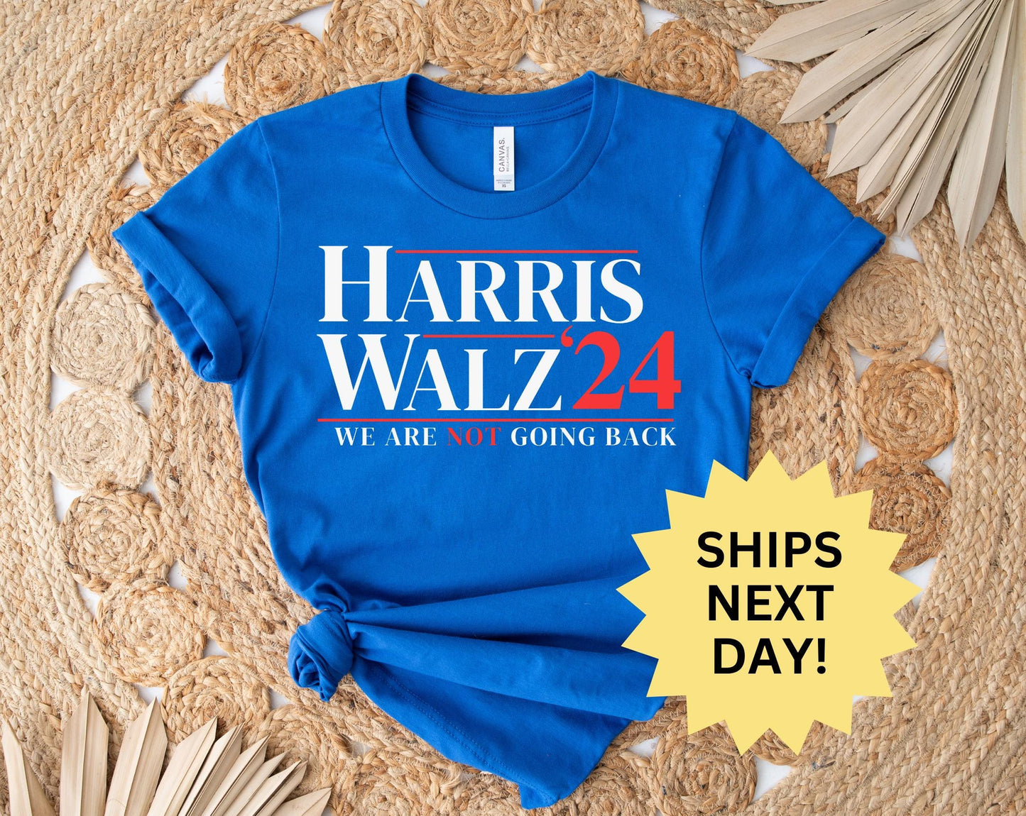 Harris Walz 2024 Shirt, Kamala Harris Walz, Tim Walz t-Shirt, Democrat Shirt, Vote Blue, Liberal Feminist Shirt, Harris Walz 2024 Tee